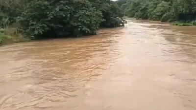 jalaka